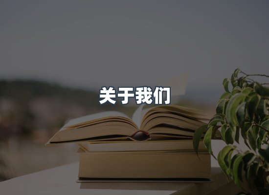 关于我们